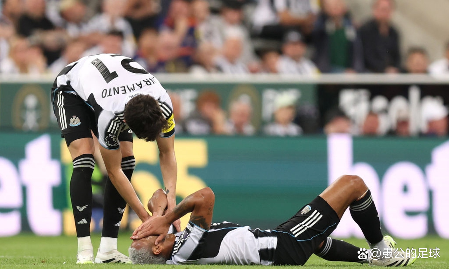 九游体育下载app-纽卡斯尔发布备战花絮，清晨止住颓势，德国杯任务艰巨，球队文化再被提及的简单介绍